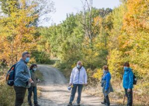 Antico tratto romano corso rio Quaderna